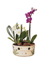 Jarrones Susurros en Flor x 3