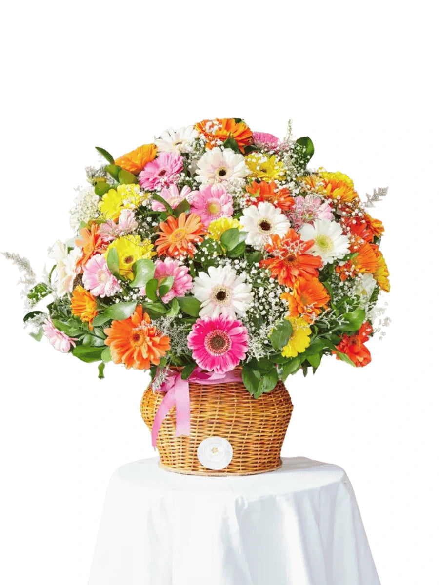 SHARIK BASKET