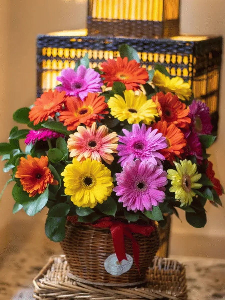 SMALL SHARIK BASKET