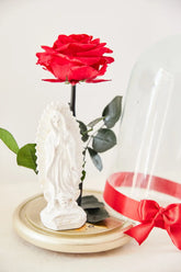ROSA INMORTALIZADA ROJA CON VIRGEN