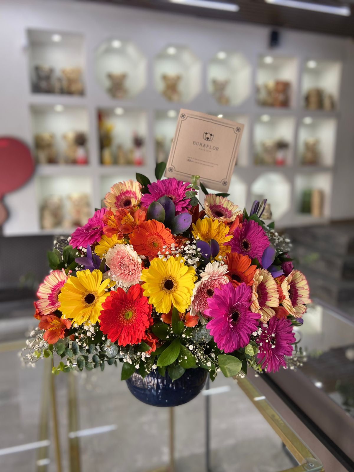 GIANNA ARRANGEMENT