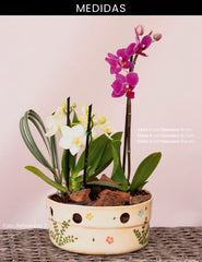 Jarrones Susurros en Flor x 3