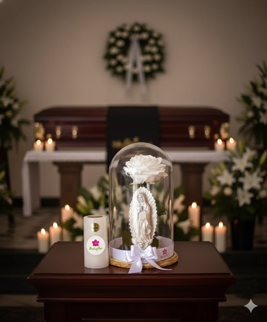 ROSA INMORTALIZADA BLANCA CON VIRGEN