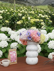 Membresía Romántica Bukaflor