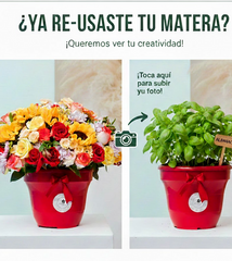 VALENTINE'S DAY DELIVERY