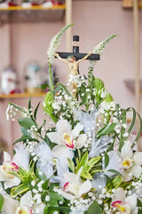 CRISTO LUCIA
