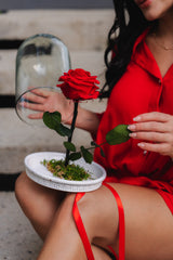 PINK IMMORTALIZED ROSE WITH VIRGIN