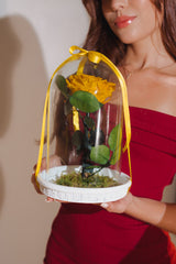 PINK IMMORTALIZED ROSE WITH VIRGIN