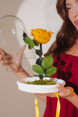 PINK IMMORTALIZED ROSE WITH VIRGIN