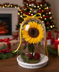 Girasol Inmortalizado Navideño