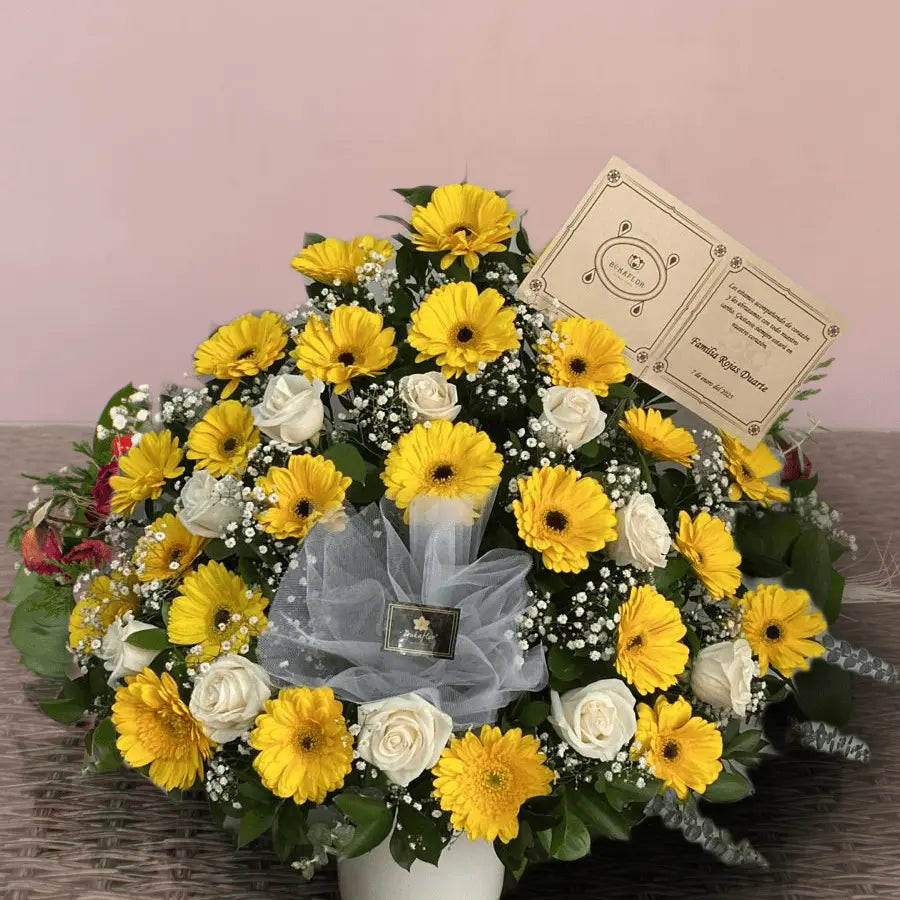 FUNEBRE PARA ALEGRAR EL ALMA
