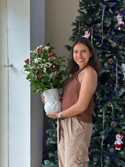 Jarrón Muñeco de Nieve/Soldadito Navideño