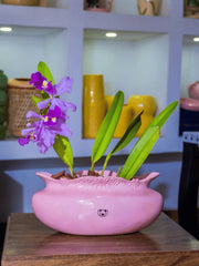 ORQUIDEA CATLEYA