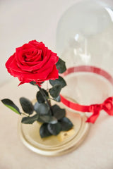 ROSA INMORTALIZADA ROJA CON VIRGEN
